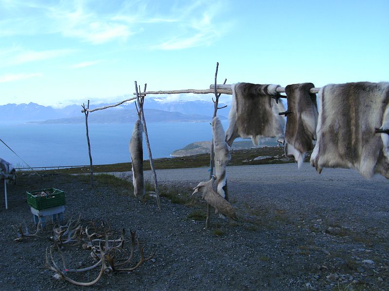 Nordkap 2009 226.jpg
